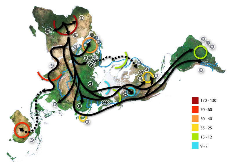 Fil:Map-of-human-migrations.jpg