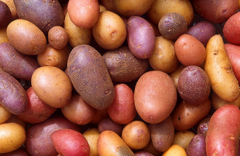 Fil:Patates.jpg