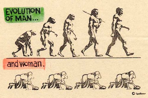 Fil:Mennesker evolusjon.jpg