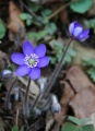 Miniatyrbilde av versjonen fra 7. jun 2026 kl. 09:07